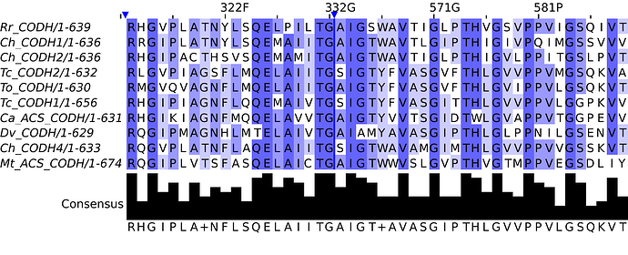 seqs-i563