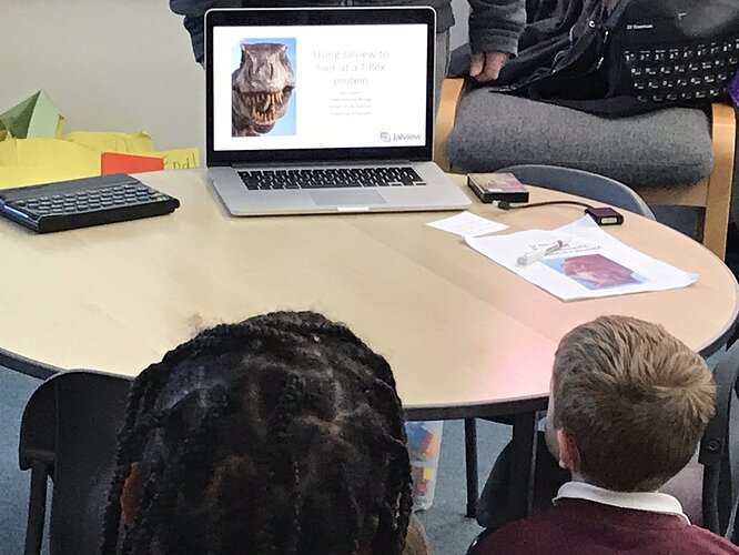 Photo of children looking at a laptop screen