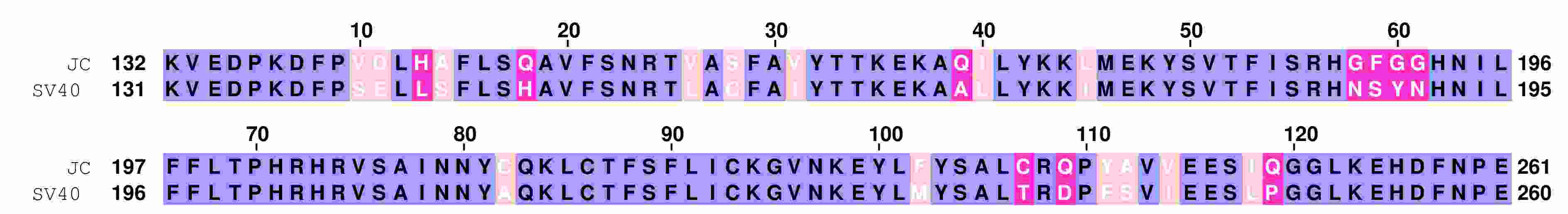 sv40_jc_obd_colored2_lineup_08_22_13_low_resolution.jpg