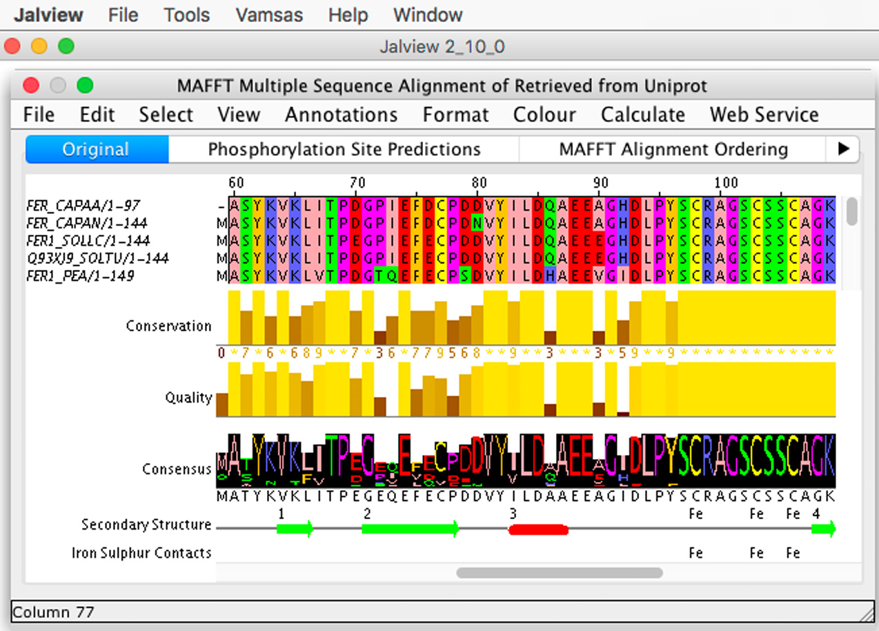 Screenshot of Jalview 2.10 sequence alignment